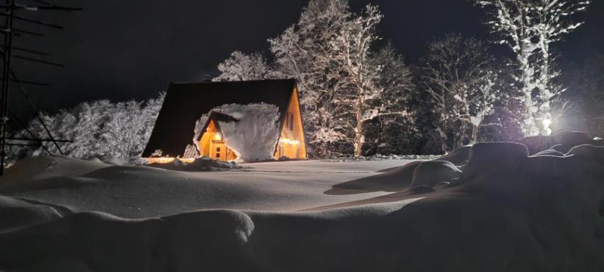 Vila Sun Forest Zabljak  Exterior photo