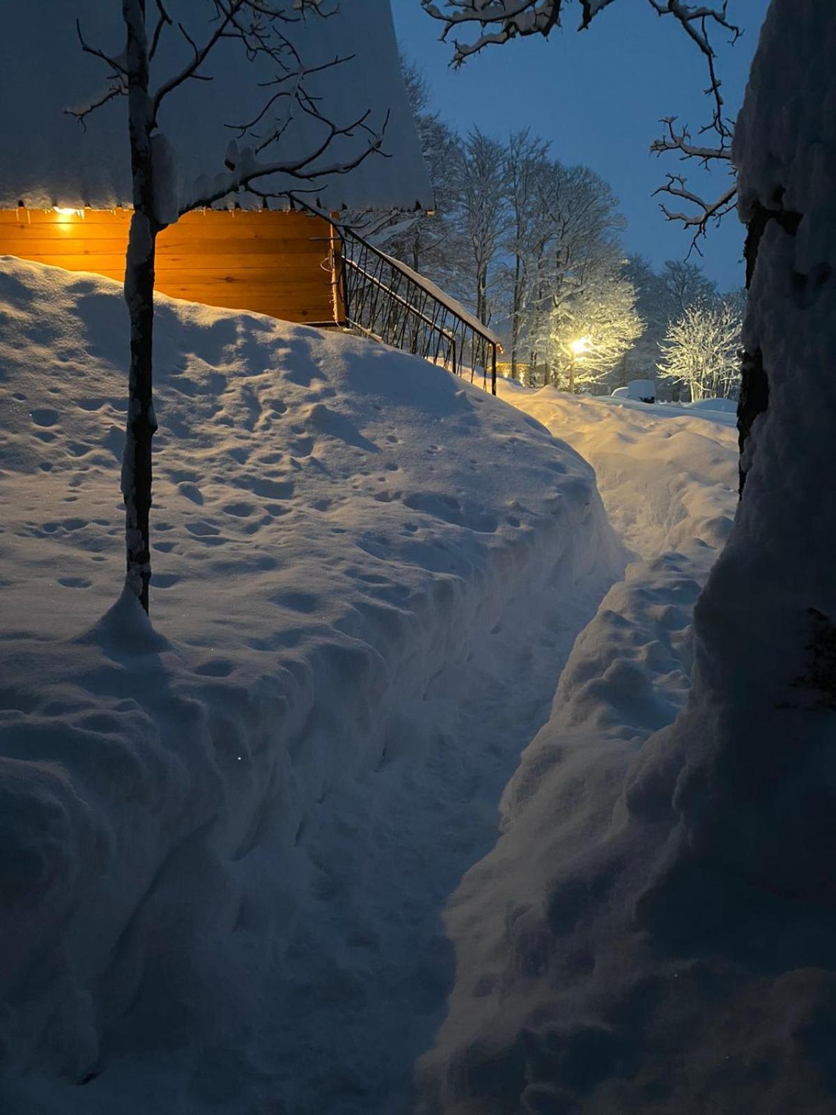 Vila Sun Forest Zabljak  Exterior photo