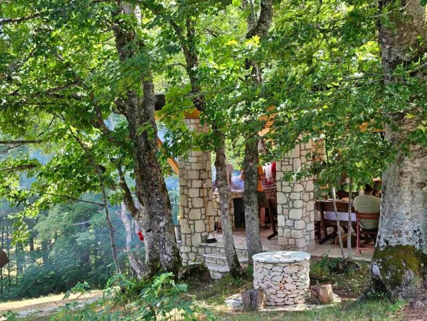 Vila Sun Forest Zabljak  Exterior photo
